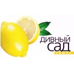 Дивный Сад