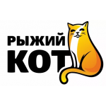Рыжий кот