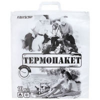 Термопакет, 42х45 см, пластиковая ручка, Мах нагрузка до 10 кг. /100/10 61435 BOYSCOUT