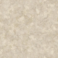 Линолеум PRAKTIKA NUBIA 5 2,0м (60 кв.м.)