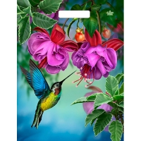 Пакет с вырубной ручкой 31х40+6 (60) Тико глянец (Колибри в цветах) ВУР51803