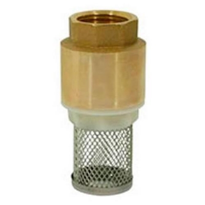 Обратный клапан с сеткой 1-1/2 CTM CBCVF112