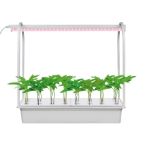 Светильник для растений светодиодный с подставкой, ULT-P44D-10W/SPLE IP20 AQUA SIMPLE WHITE