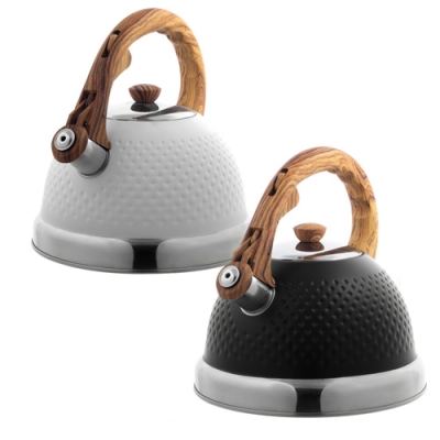 Чайник 2,7л из нержавеющей стали со свистком и ручкой soft touch (100305BL)