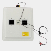 Инкубатор 63 яйца авт. поворот цифр. терм., принуд. вентил. 12В (арт 46в)