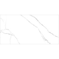 Керамогранит Pride белый 300х600 мат (GT186VG)(1.44кв.м)