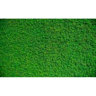 Коврик придверный Charming соты 60*90 st143