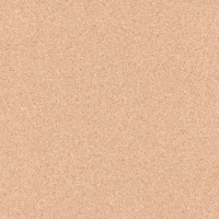 Линолеум коммерческий Tarkett Primo Plus 302 2,0м (42 кв.м)