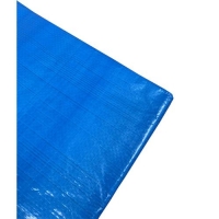 Тент "X-Glass 80", 10 х 10м, 80 г/м2 Тент "X-Glass 80", 10 х 10м, 80 г/м2