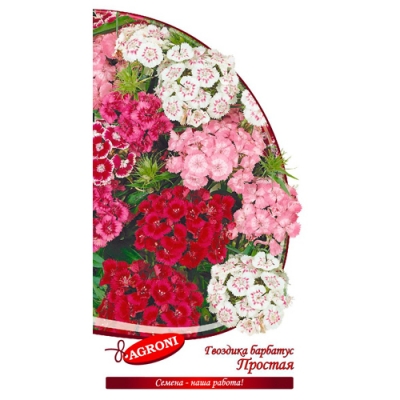 Гвоздика барбатус простая смесь (0,3г) (ц/п 2977)