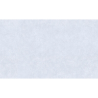 Обои Палитра Style SL72472-46 ГТ 1,06*10 м (8 шт)