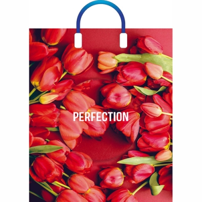 Пакет ПЭ с пластмассовыми ручками 38х45+3см (90) (Совершенство) Глянцевый Артпласт (х5/50) 220000379