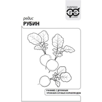 Редис Рубин 3 г б/п с евроотв. "Гавриш" Редис Рубин 3 г б/п с евроотв. "Гавриш"