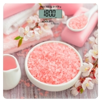 SC-BS33E062 Напольные электронные весы (SPA)