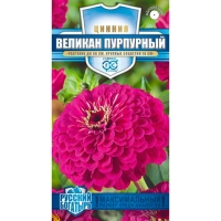 Цинния Великан пурпурный 0,3 г серия Русский богатырь "Гавриш"