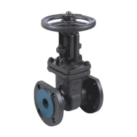 Задвижка ст 30с41нж Ду80 Ру16 фл BRDHSB 6 Задвижка ст 30с41нж Ду80 Ру16 фл BRDHSB 6