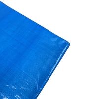 Тент X-Glass 80, 4 х 10м, 80 г/м2 Тент X-Glass 80, 4 х 10м, 80 г/м2