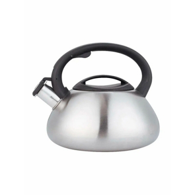 Чайник из нержавеющей стали со свистком "Орион" 3 литра в цветной коробке арт.MFK21175