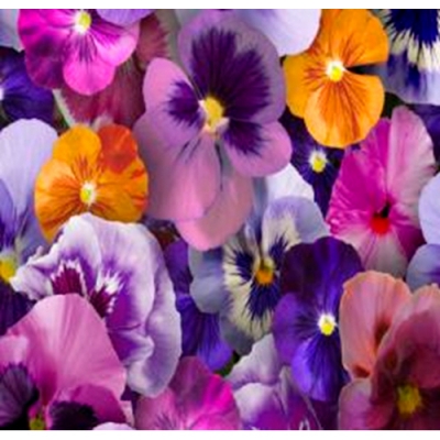 Клеенка Флер 81563 на тканевой основе 1,4 х 20 м