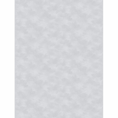 Обои Палитра 70655-42 10 ВВ ГТ ФО Аспект Deluxe 1,06*10 м (6 шт)