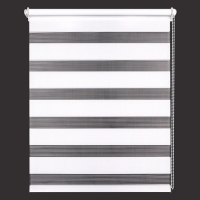 Рулонная штора LEGRAND День-ночь easy fix 47*160 белый