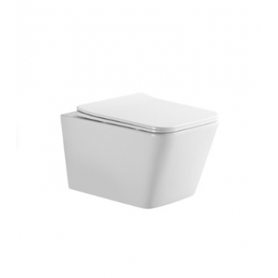 Унитаз подвесной EvaGold EG130, безободковый, сиденье тонкое ДП, крепления