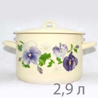 Кастрюля 2.9л С-16111/4КмЭ АНЮТИНЫ ГЛАЗКИ