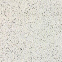 Керамический гранит SP 601 600х600 св.серый
