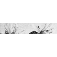 Бордюр Картье серый 01 400х75