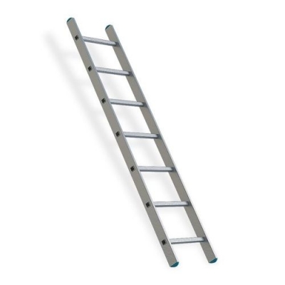 Лестница односекционная 1 х 10