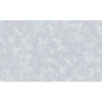 50013-65 (6) обои 10 ВВ ГТ ФО VOG Collection П (1,06*10)