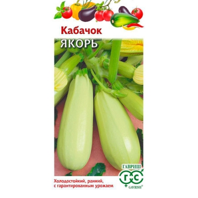Кабачок Якорь 2 г "Гавриш"