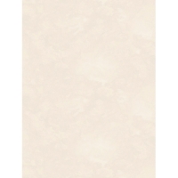 Обои Палитра 70657-24 10 ВВ ГТ ФО Аспект Deluxe 1,06*10 м (6 шт)