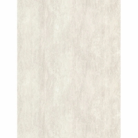 Обои Палитра 70672-22 10 ВВ ГТ ФО Аспект Deluxe 1,06*10 м (6 шт)