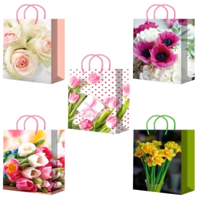 Пакет подарочный 32х45+10см ламинированный (XL25 501-505) (х10/200) Китай 2200003928037 ПБР62469