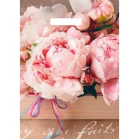 Пакет с вырубной ручкой 29х40 (35) Артпласт (Бенефис) ВУР49406