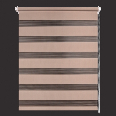 Рулонная штора LEGRAND День-ночь easy fix 66*160 бежевый