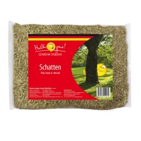 Семена газонной травы SCHATTEN GRAS (0,3 кг)