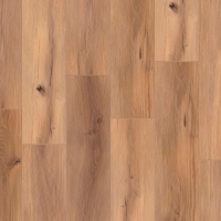 Арт Винил Tarkett FUTURE HOUSE TOBY 200x1220 (1,96 кв.м.)