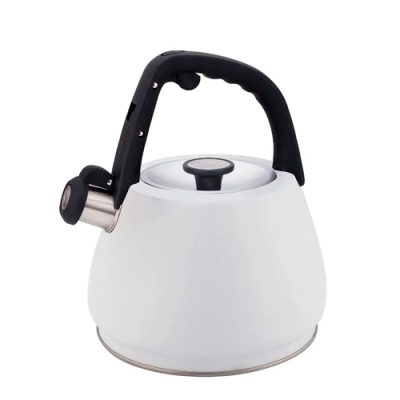 Чайник со свистком ZEIDAN Z-4554 3,0 л