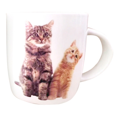 Кружка "Заботливая мама" 360 мл арт.MFK20473