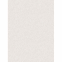 Обои Палитра 10142-22 AS 0,53*10 м (12 шт) Обои Палитра 10142-22 AS 0,53*10 м (12 шт)