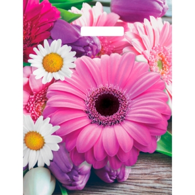 Пакет с вырубной ручкой 31х40см (60) (Ароматная палитра) Глянцевый Артпласт (х50/1000) ВУР58085