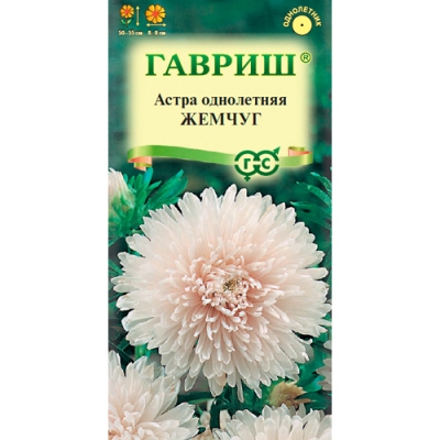 Астра Жемчуг, однолетняя (воронежская лососево-беж.) 0,3 г "Гавриш"