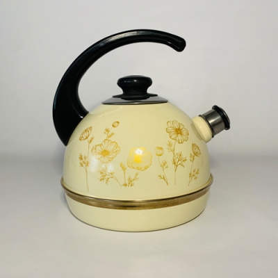 Чайник 4л (конс. руч.)-слон.кость/золотая космея (дек.-нерж.ст) Т04/40/04/42 (г.Ростов)