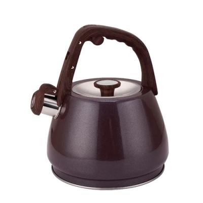 Чайник со свистком ZEIDAN Z-4555 3,0 л
