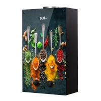 Газовая колонка Ballu GWH 10 Fiery Glass Curry (Принт:Специи)