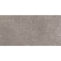 Керамогранит Global Tile Coral Rock темно-серый матовый 300х600 (GT184VG)(1.62кв.м) Керамогранит Global Tile Coral Rock темно-серый матовый 300х600 (GT184VG)(1.62кв.м)
