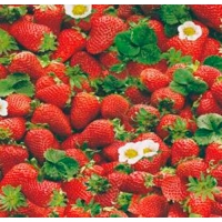 Клеенка Флер 8166 на тканевой основе 1,4 х 20 м