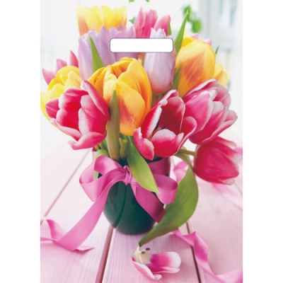 Пакет с вырубной ручкой 29х40 (35) Артпласт (Сиеста) ВУР55134 Пакет с вырубной ручкой 29х40 (35) Артпласт (Сиеста) ВУР55134